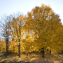 Scenery Montville Duchek 2133-2